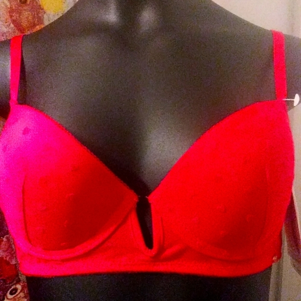 Jessica Simpson red 3D heart design bras for Valentine's Day